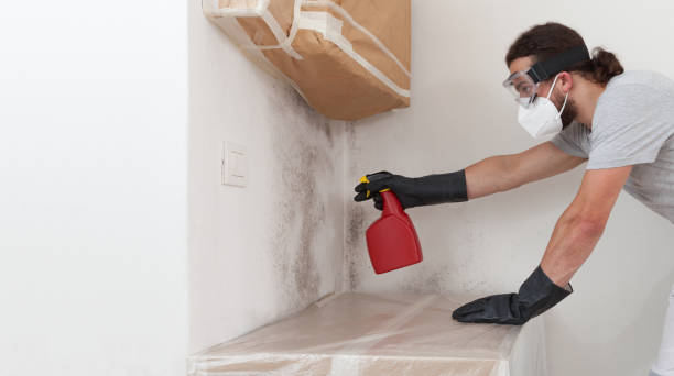 Professional Black Mold Remediation technician working in Mendota, MN